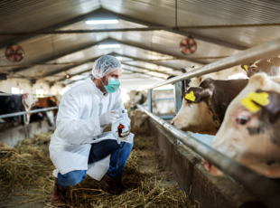 Disease Resistance